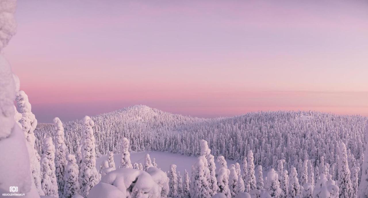 Hotelli Kultainen Joutsen Kuusamo Extérieur photo